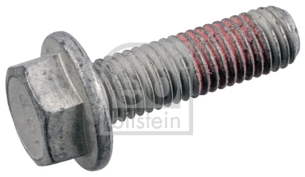 Bolt, brake caliper